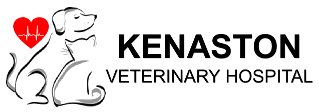 Kenaston Veterinary Hospital